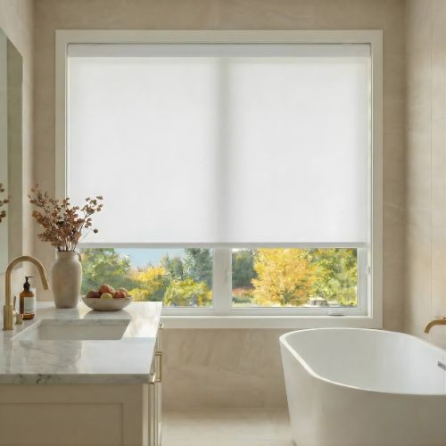 Light Filtering Cordless Roller Shades