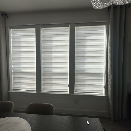 Zebra Shades for Contemporary Living